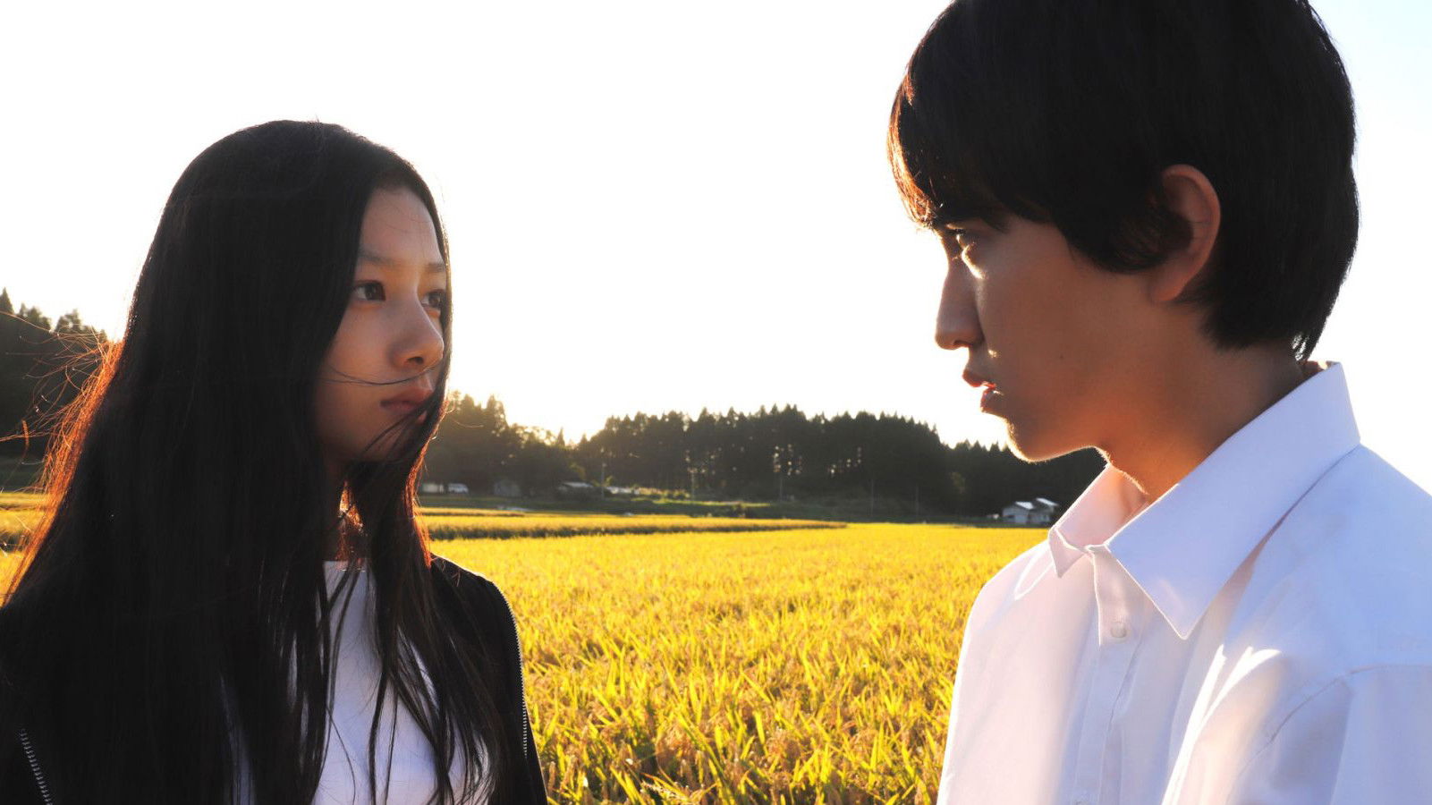 Backdrop for Follow the Light