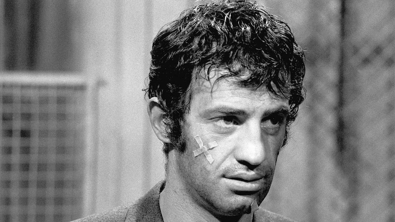 Backdrop for Sunday Buddies