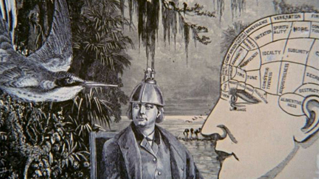 Backdrop for Night Light