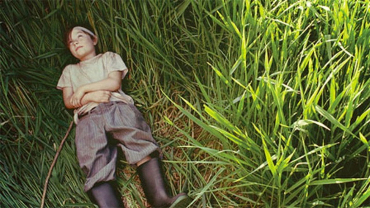 Backdrop for A River in the Woods