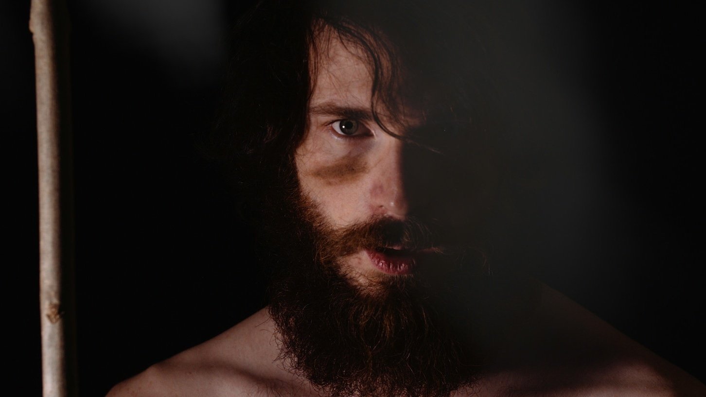 Backdrop for Dogwood