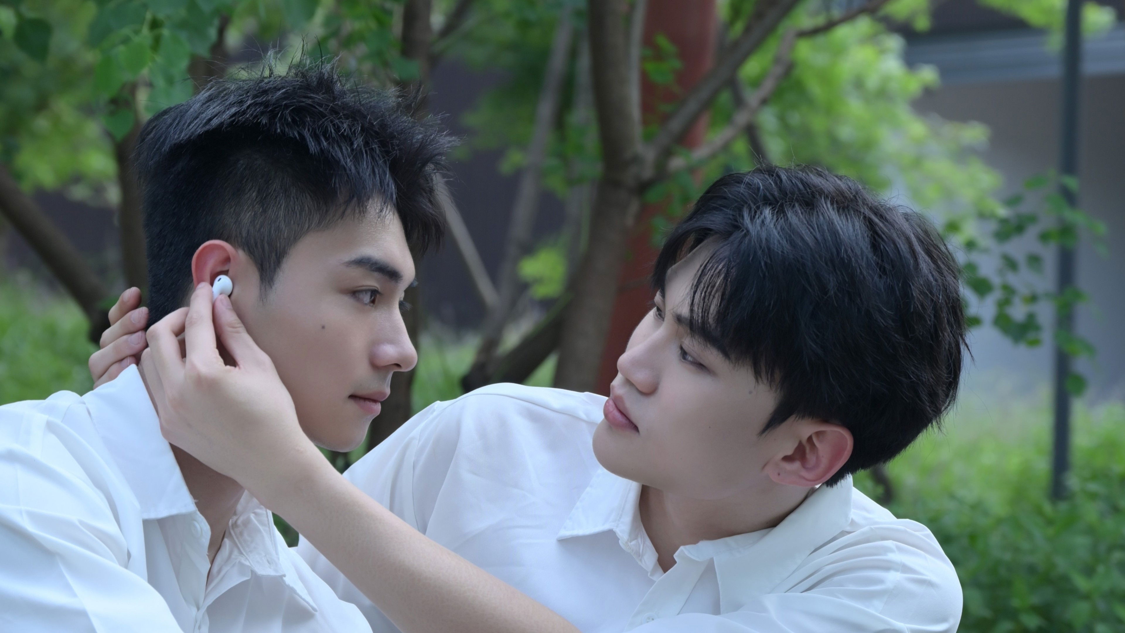 Backdrop for Old Days in the Middle of Summer