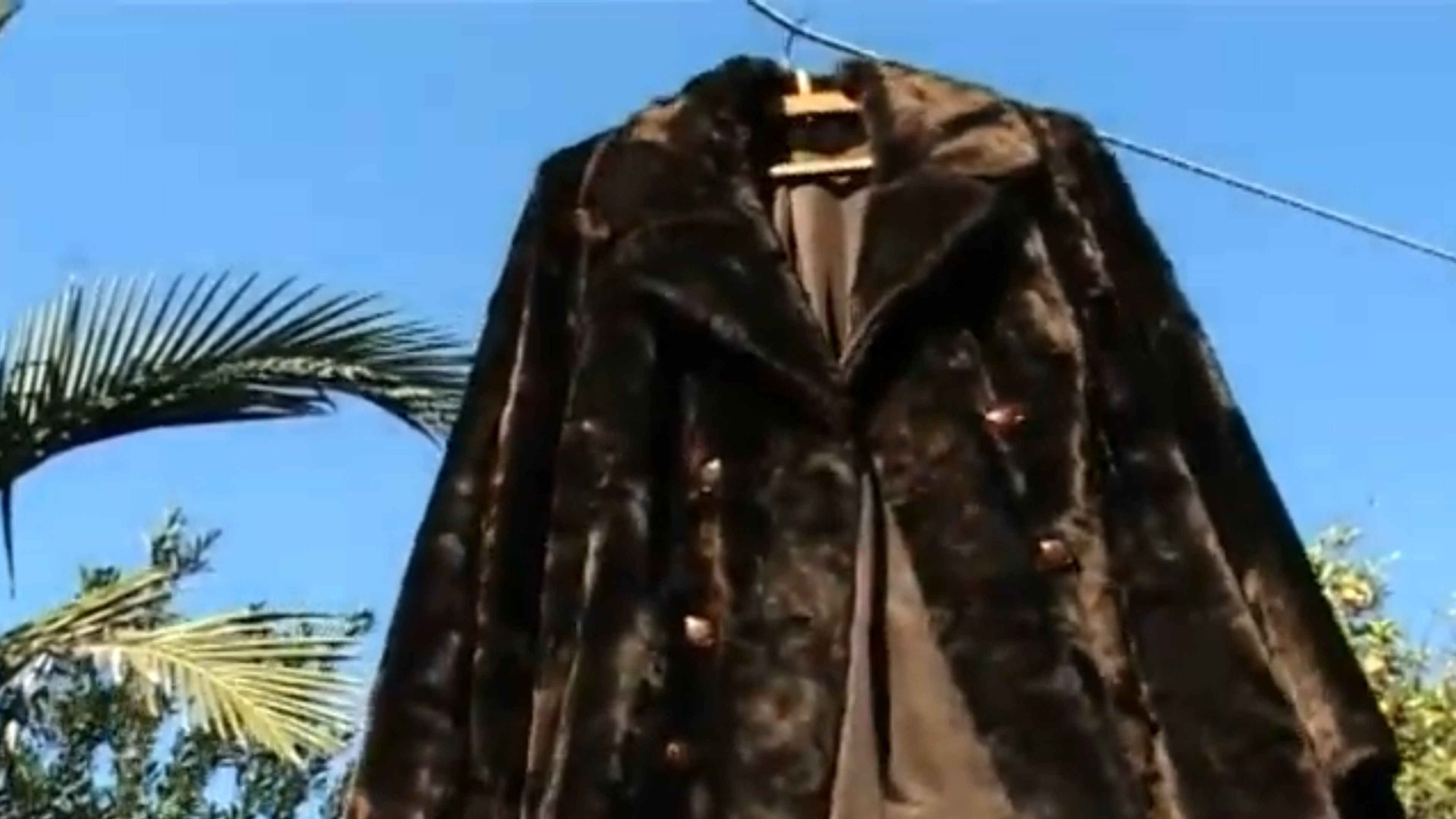 Backdrop for De piel