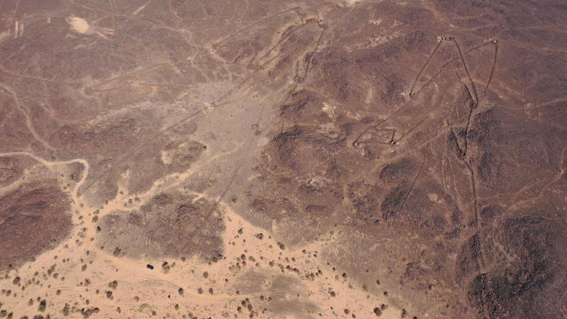 Backdrop for The Mystery of the Desert Kites