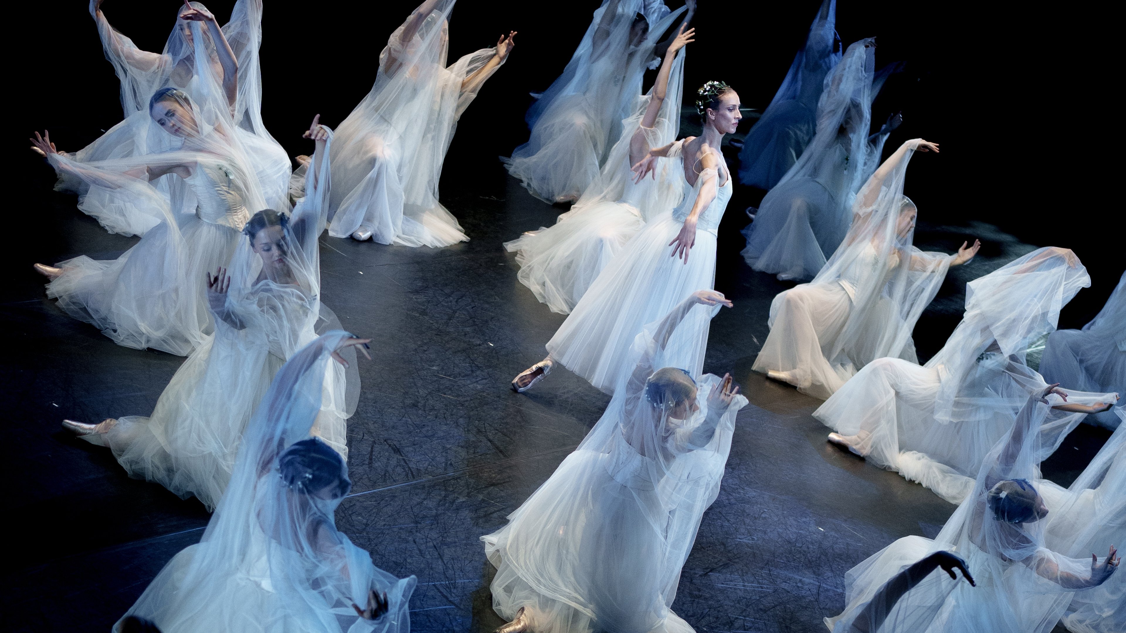 Backdrop for Giselle: Ballet in Cinema