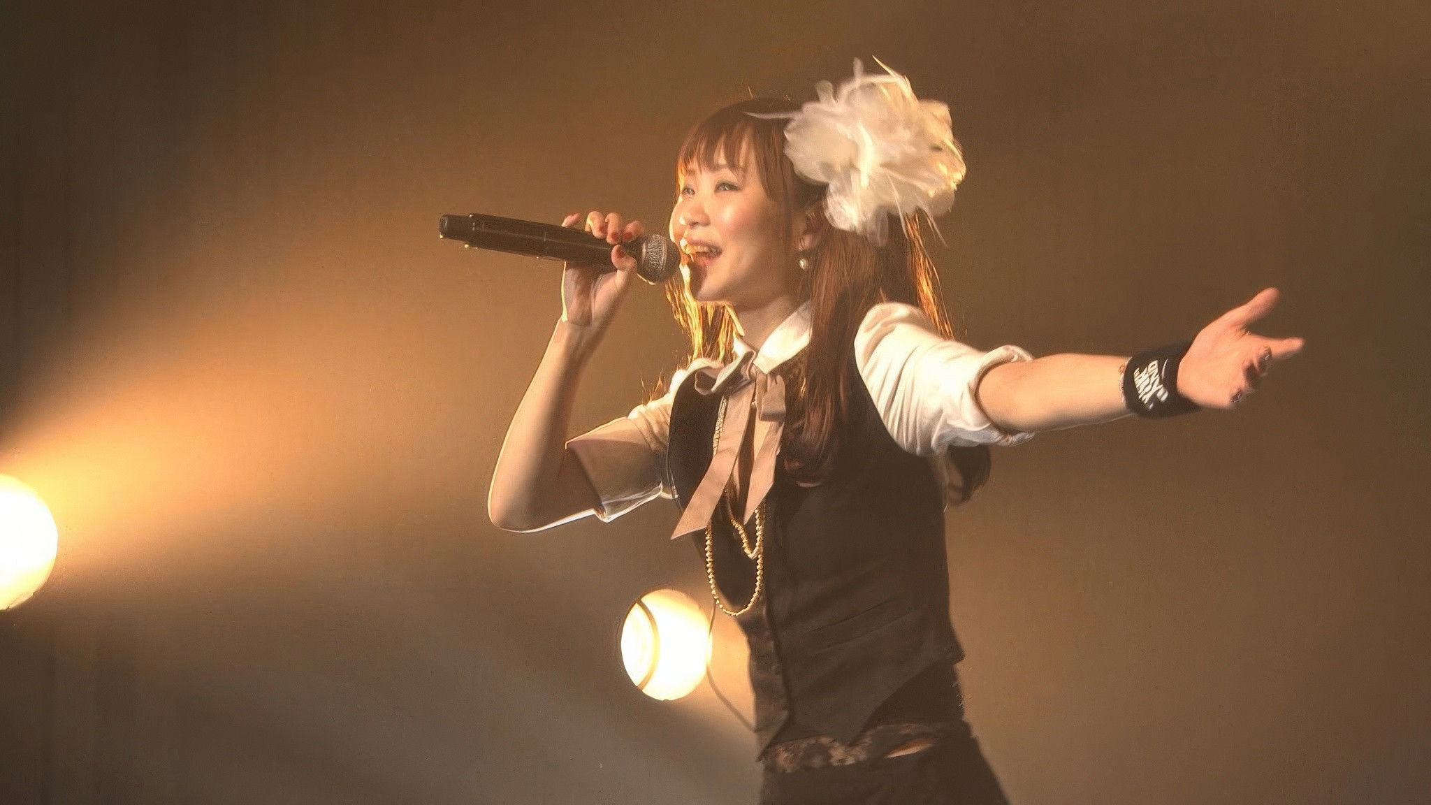 Backdrop for Falcom jdk BAND 2013 New Year Live in NIHONBASHI MITSUI HALL