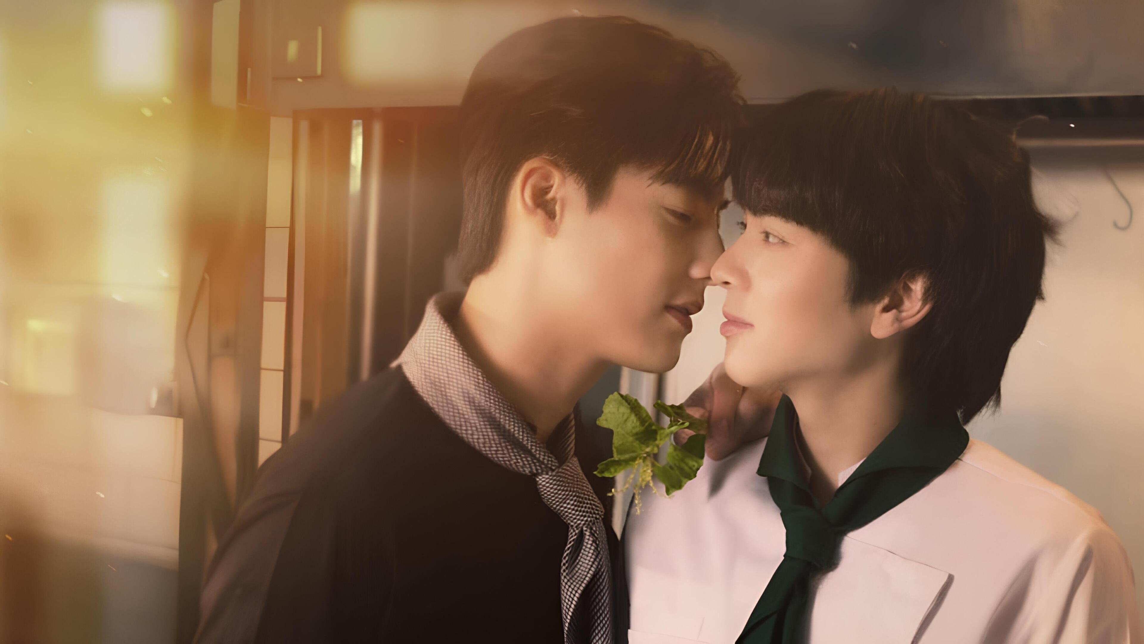 Backdrop for This Love Doesn't Have Long Beans