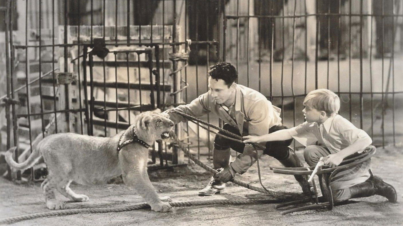 Backdrop for The Big Cage