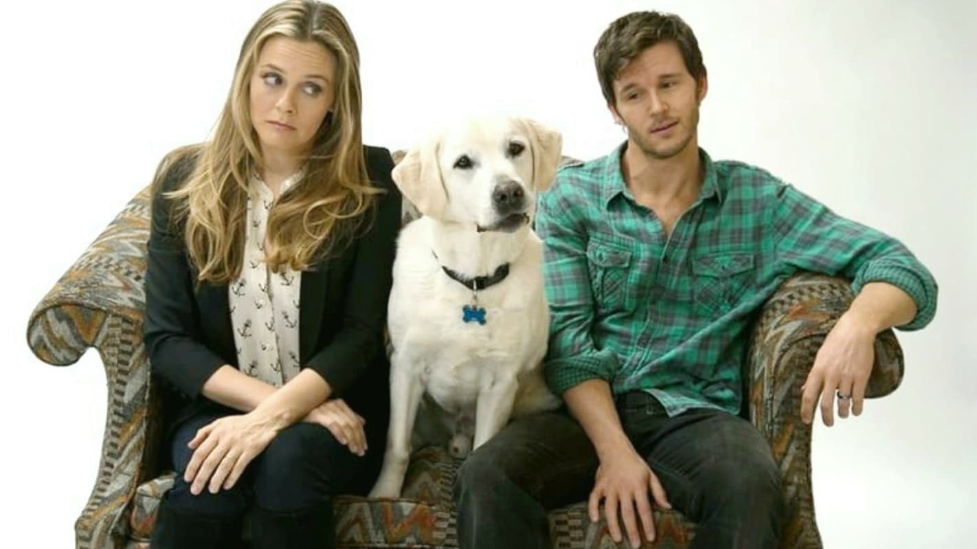 Backdrop for Who Gets the Dog?