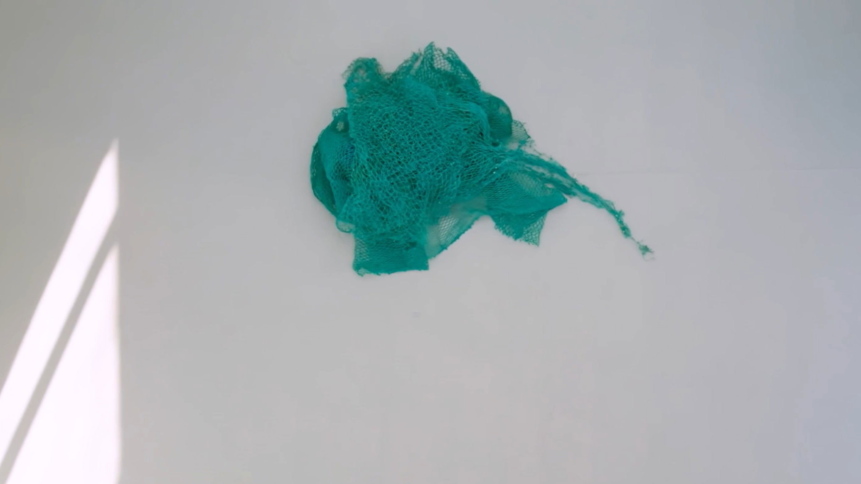 Backdrop for SeaMonster II