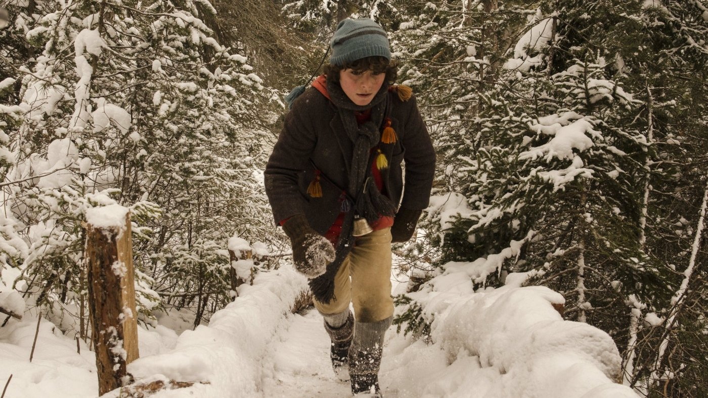 Backdrop for Little Mountain Boy