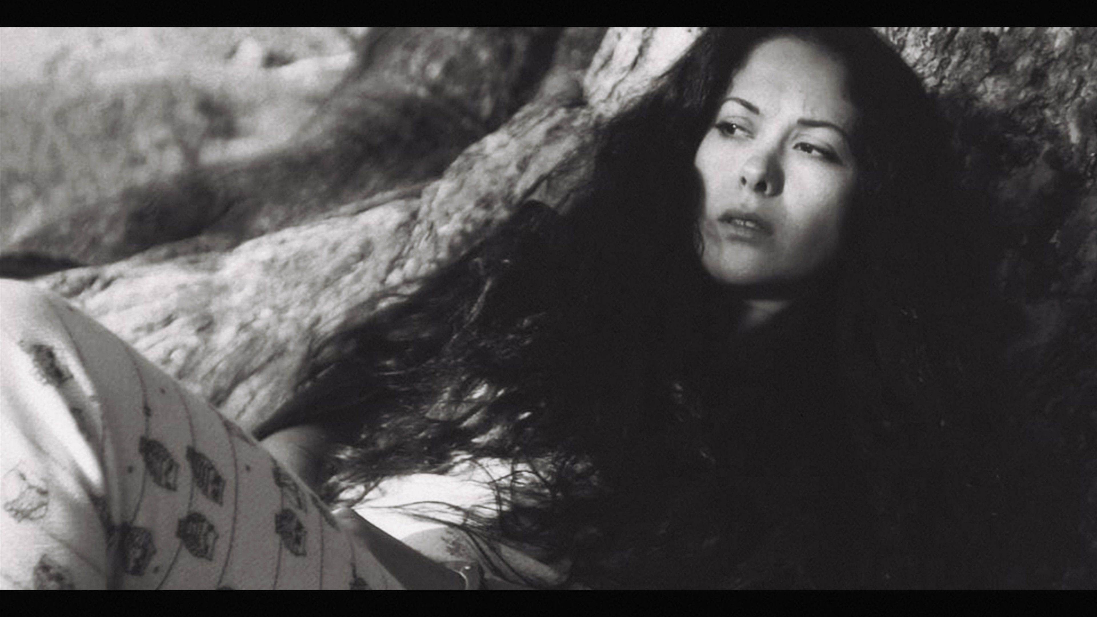 Backdrop for Ghost of the Night