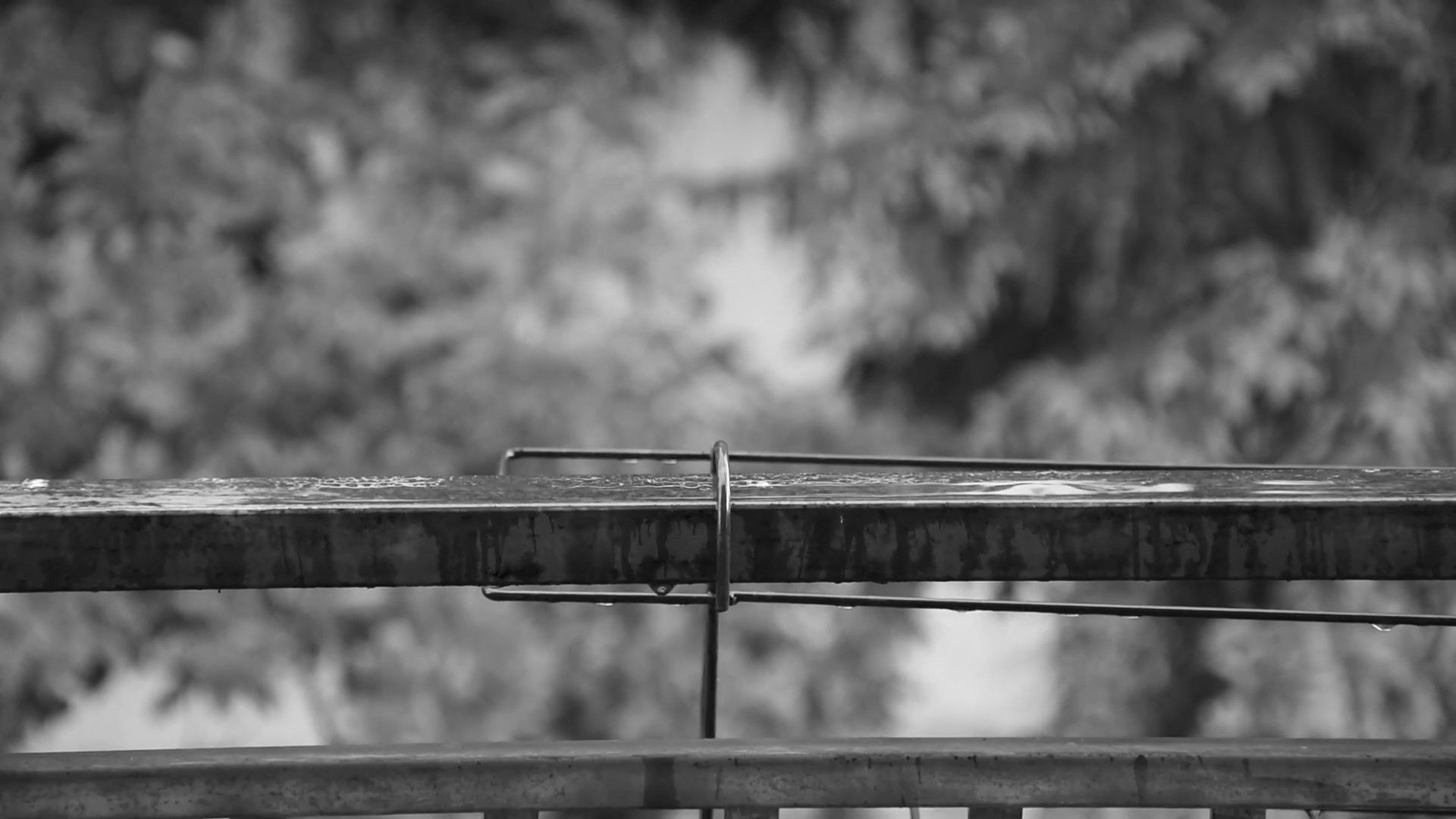 Backdrop for Women's effect on man…