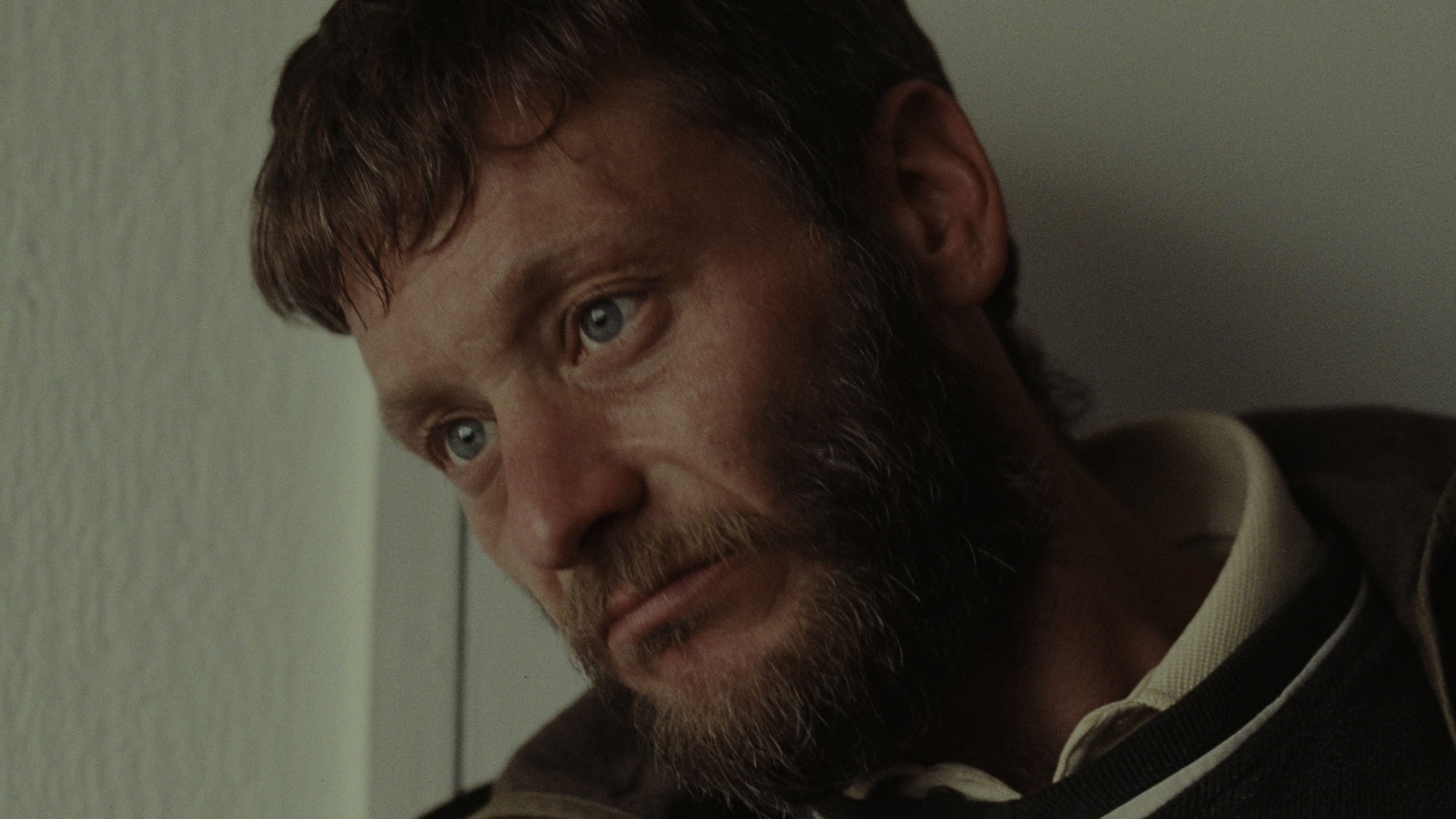 Backdrop for K-9INE!