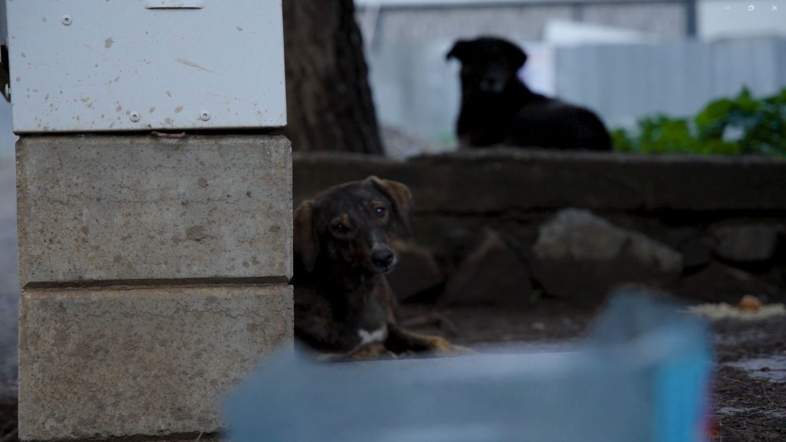 Backdrop for Belirsiz Mahal