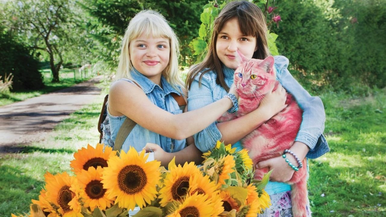 Backdrop for Jill, Joy and the Mysterious Stranger