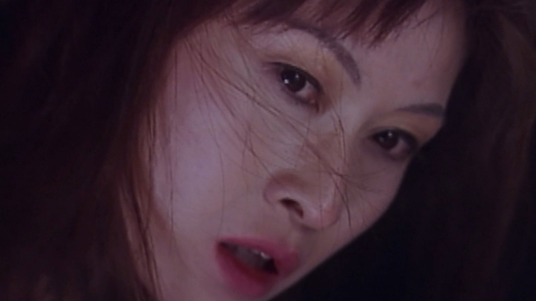 Backdrop for Twilight Dinner