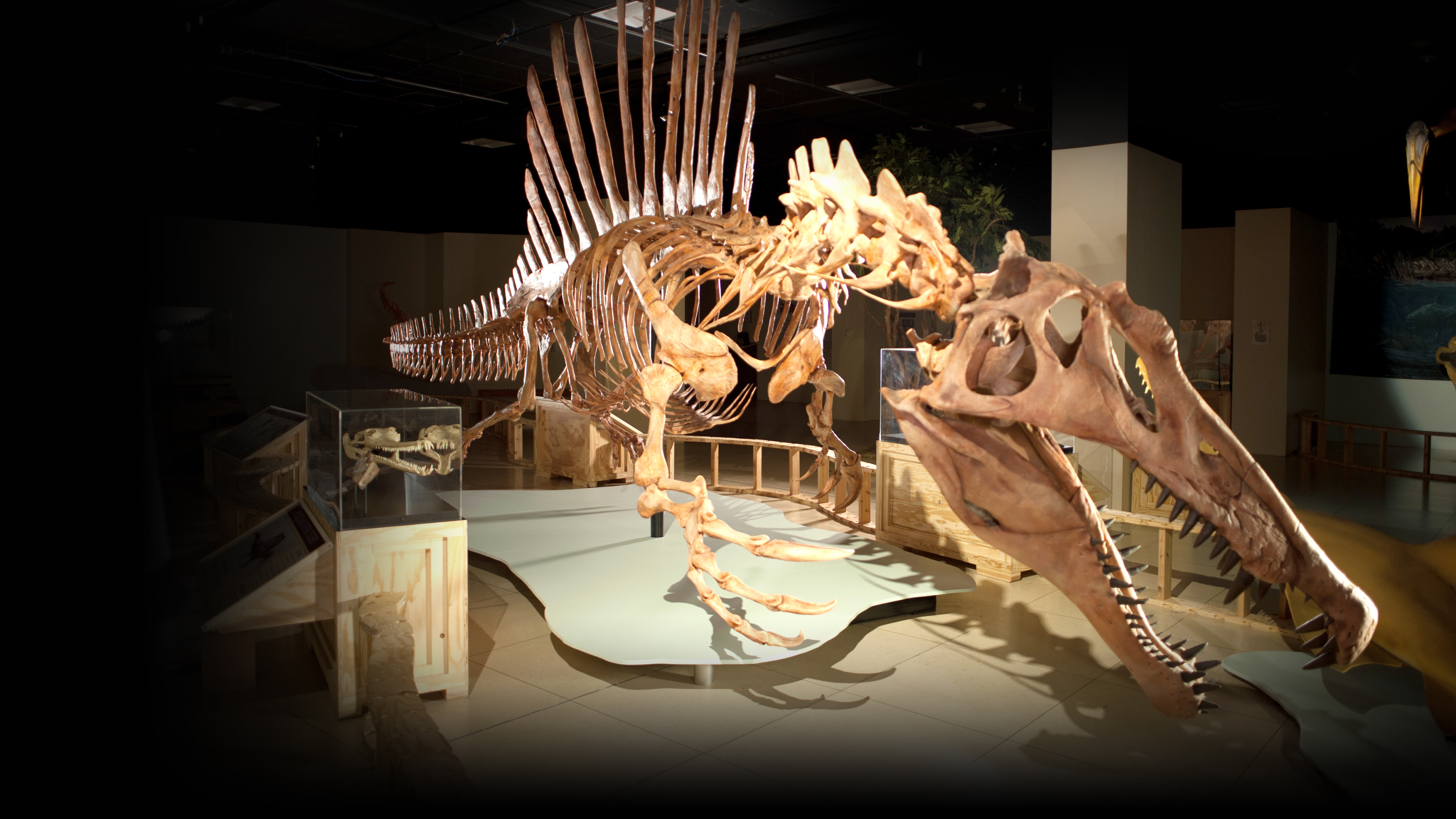 Backdrop for Top 10 Biggest Beasts Ever