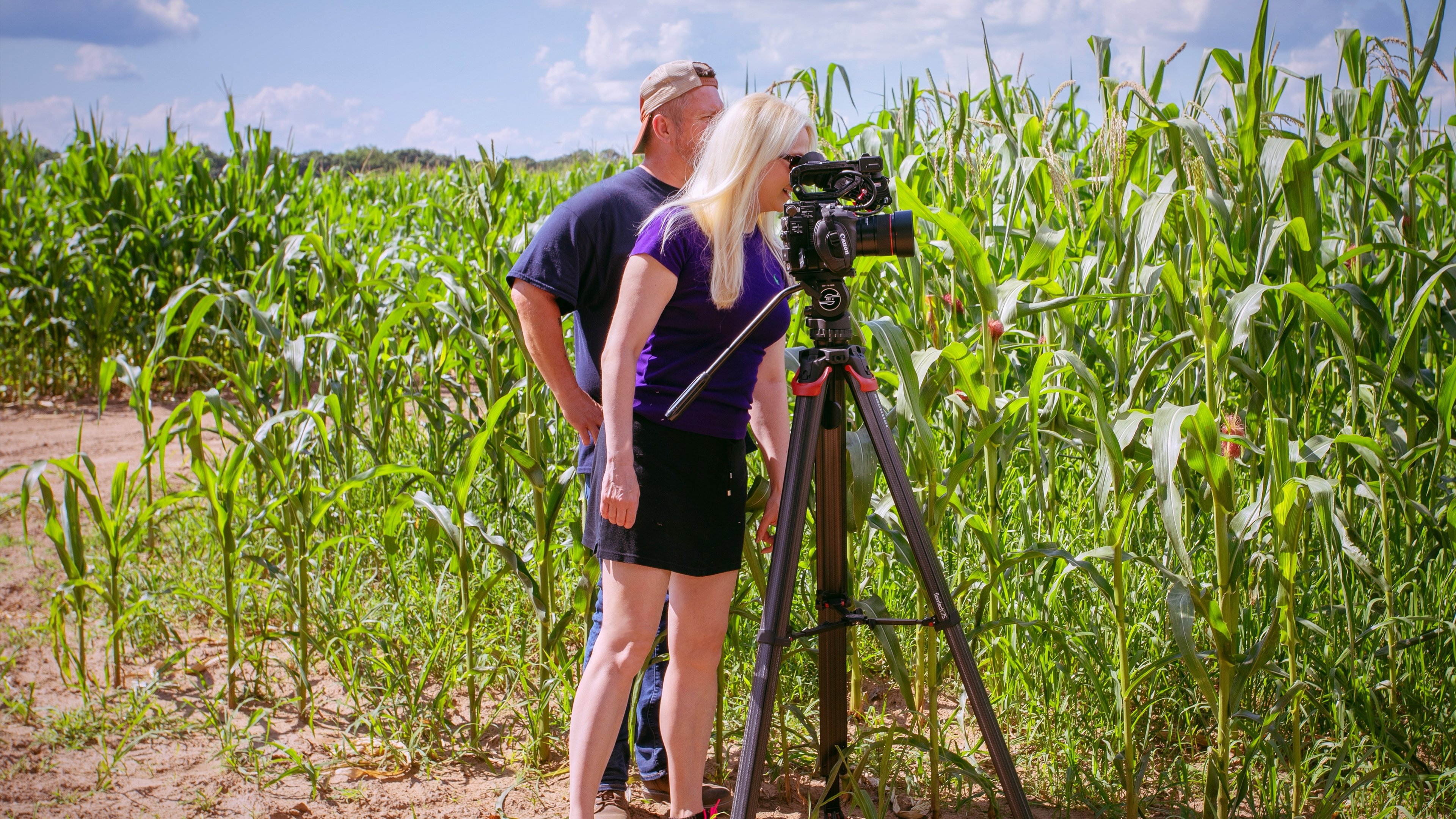 Backdrop for Fields of Gold