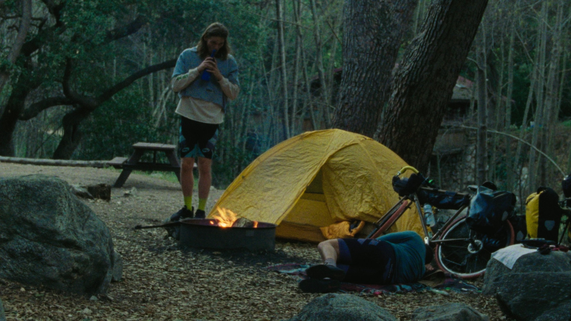 Backdrop for Workers' Comp