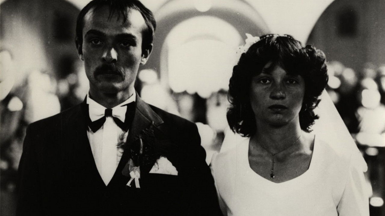 Backdrop for Coexistence