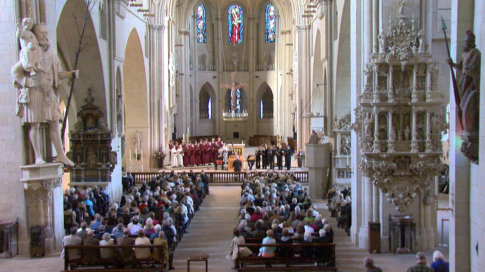 Backdrop for Santini's Network