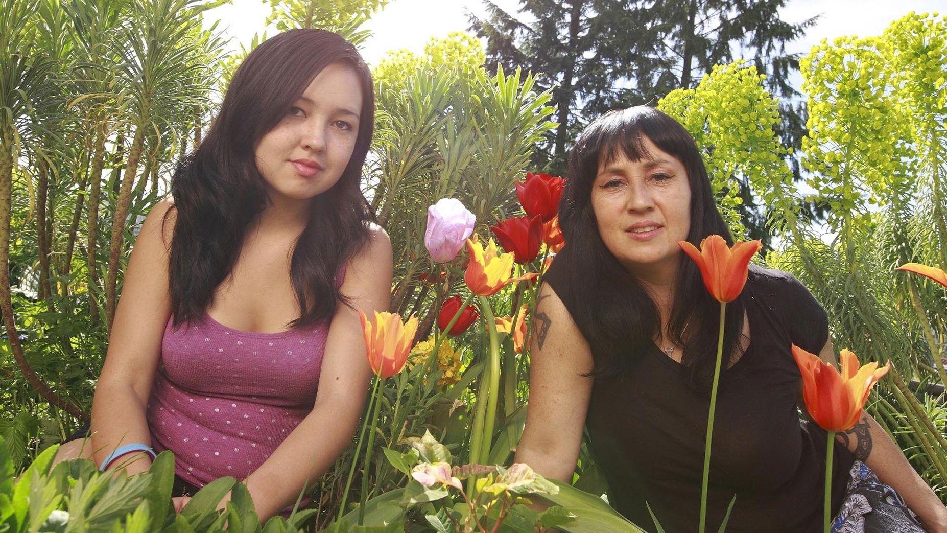 Backdrop for Indigenous Plant Diva