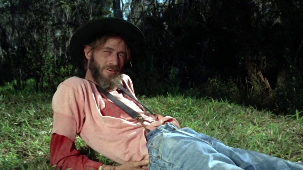 Backdrop for Cottonpickin' Chickenpickers