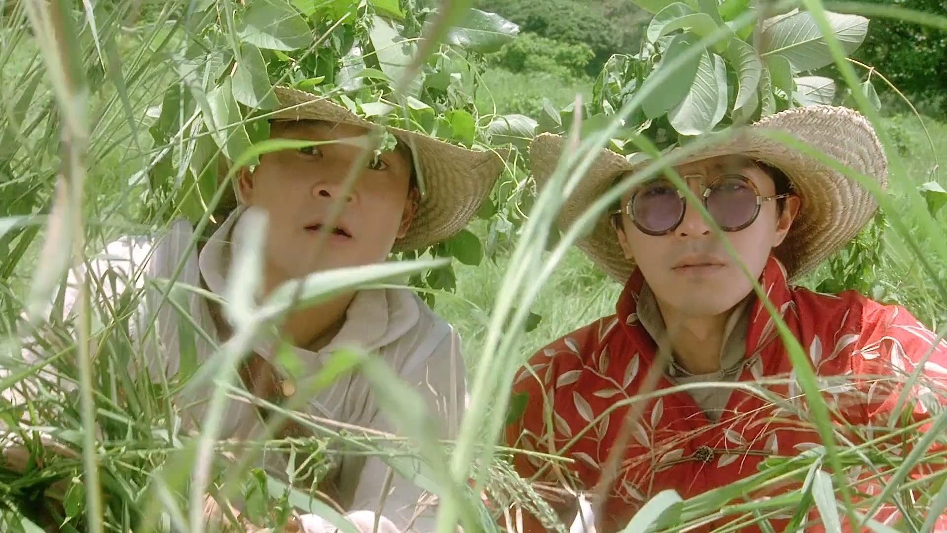 Backdrop for Lawyer Lawyer