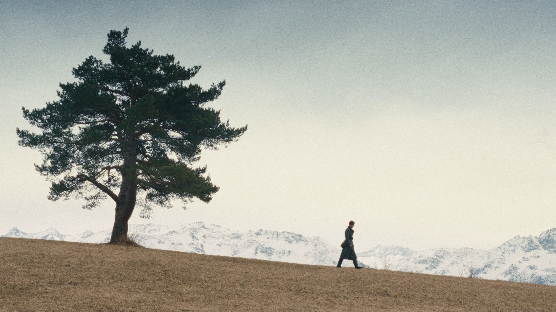 Backdrop for No Human's Land