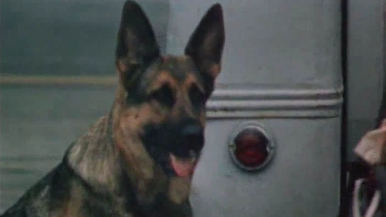 Backdrop for Tethered to the Runway