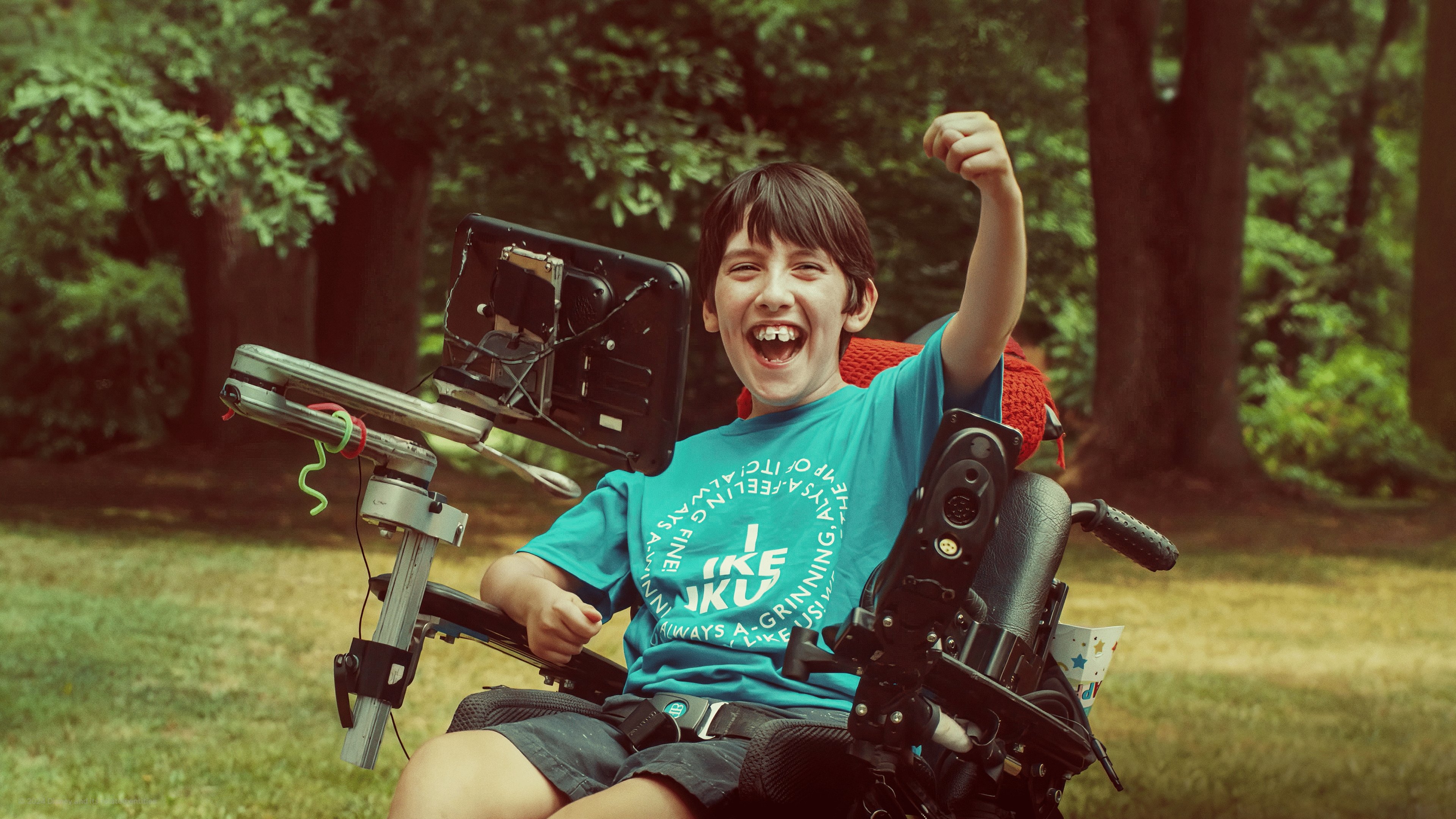 Backdrop for Camp Alec