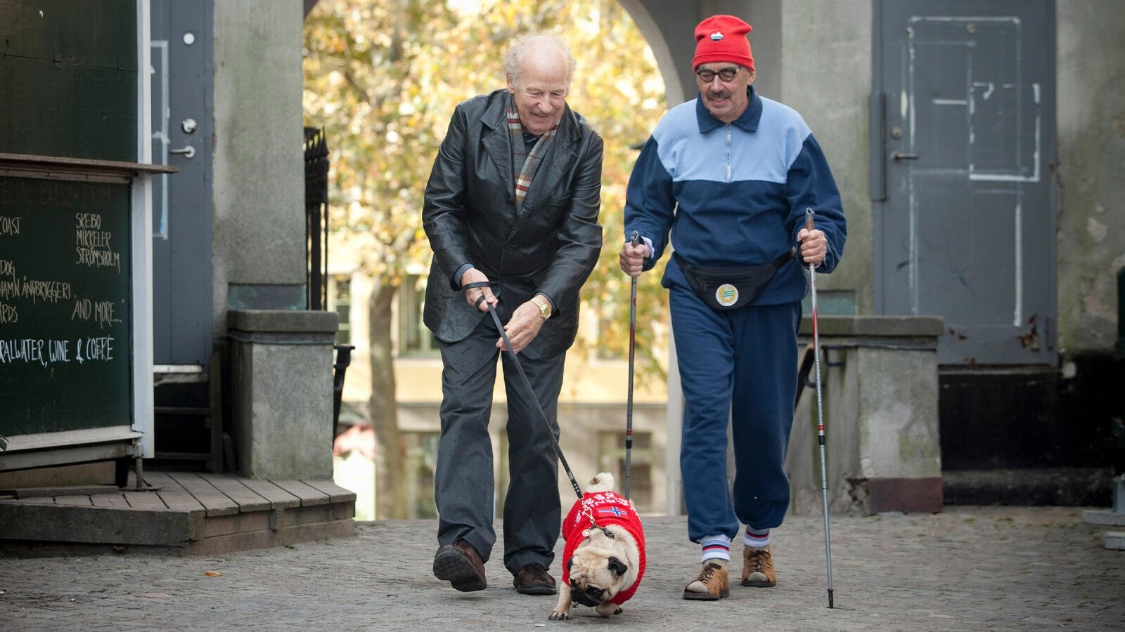 Backdrop for The Stig-Helmer Story