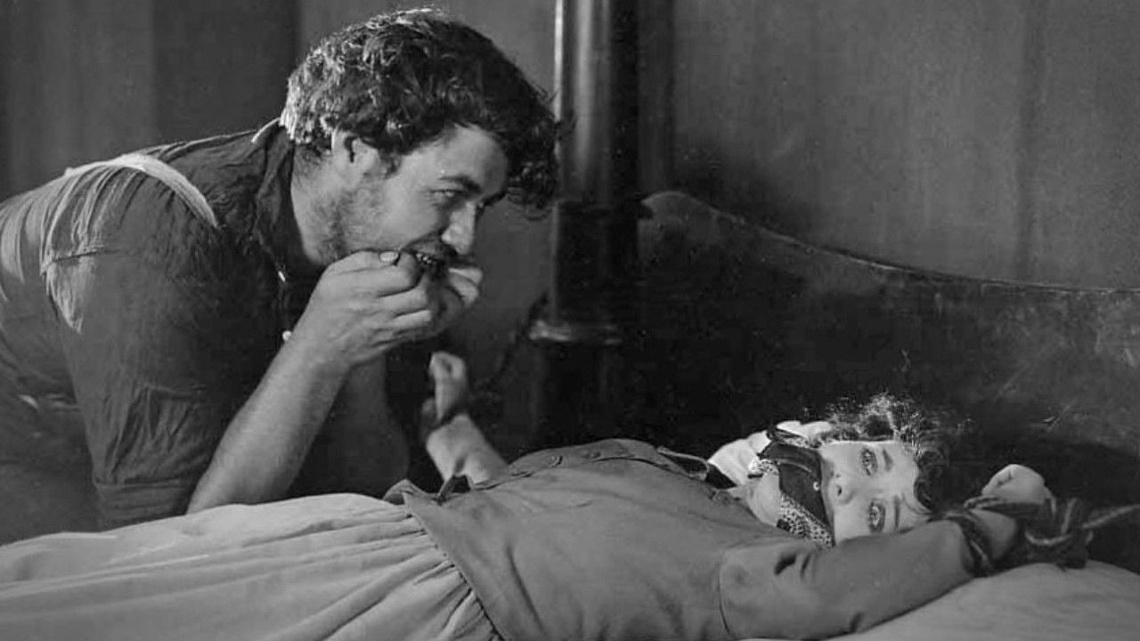 Backdrop for Wild Oranges