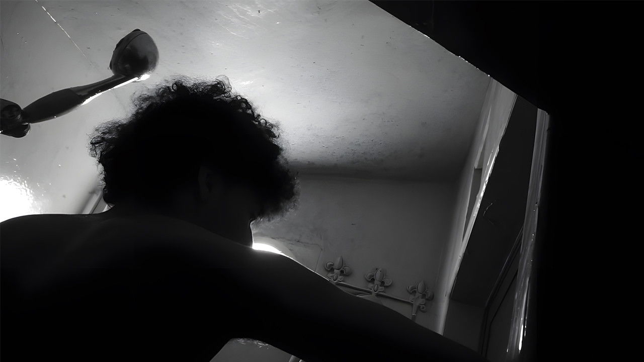 Backdrop for Shadows of Silence