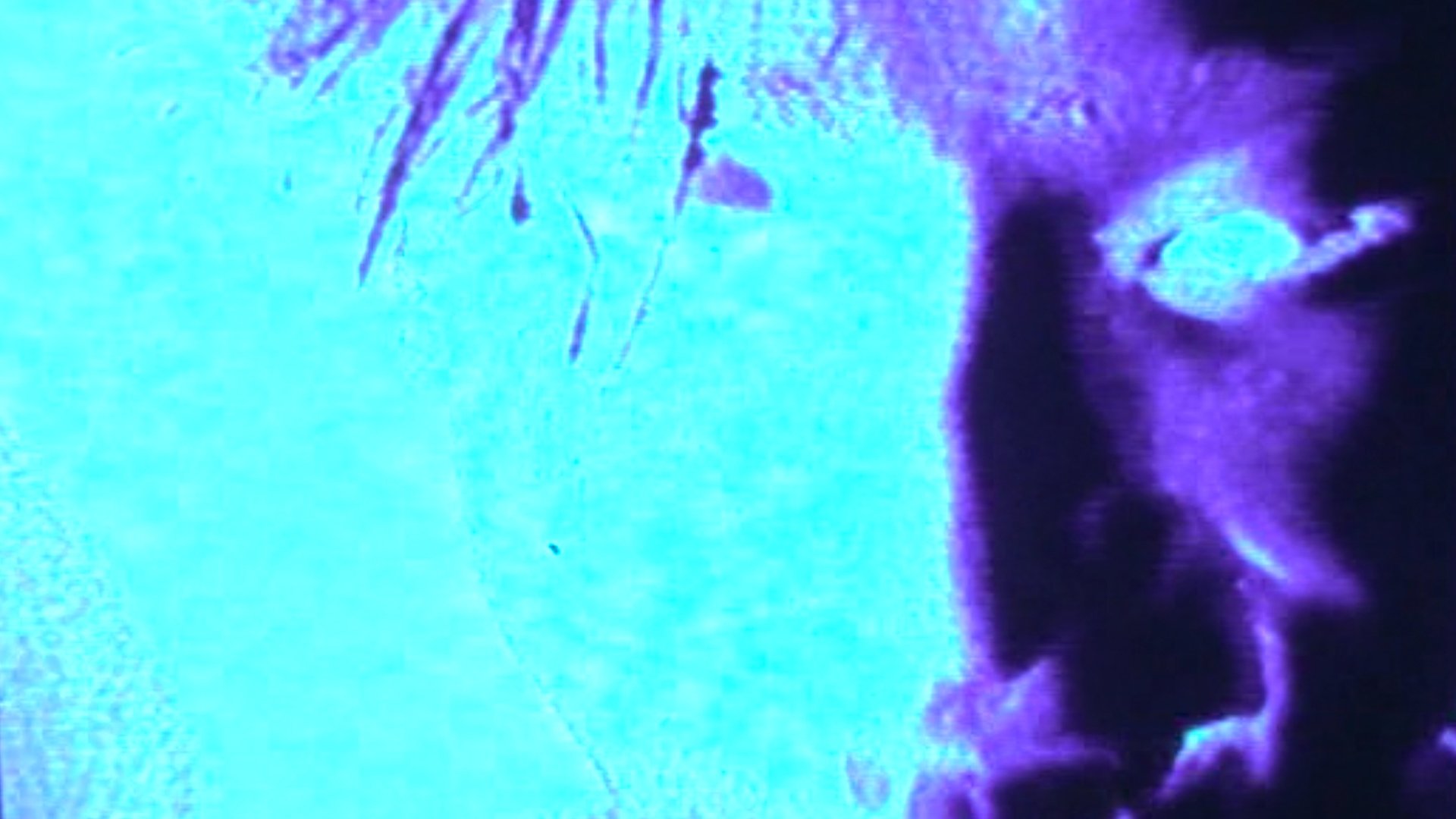 Backdrop for G.I.S.M.「Rushing Waves of Sound 911」