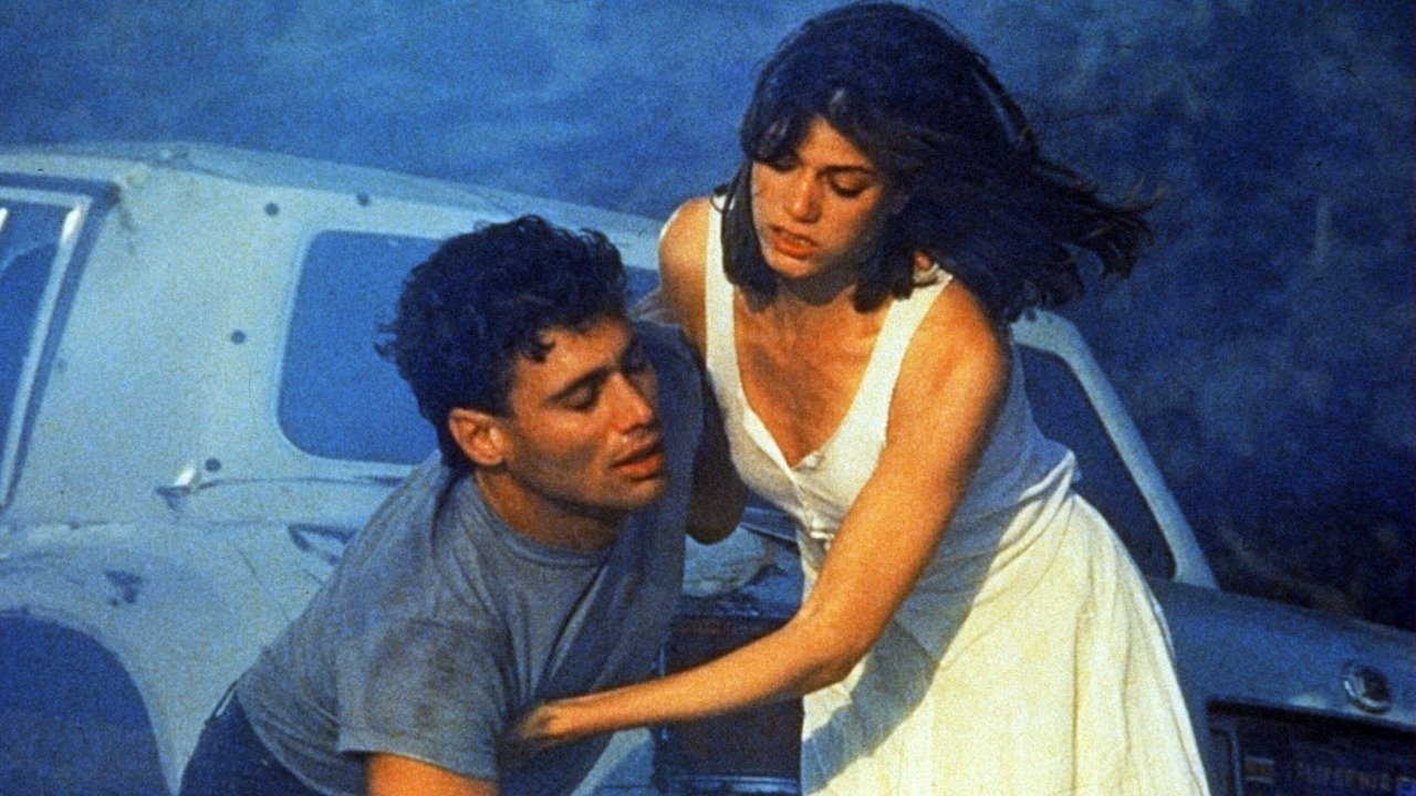 Backdrop for Wildfire