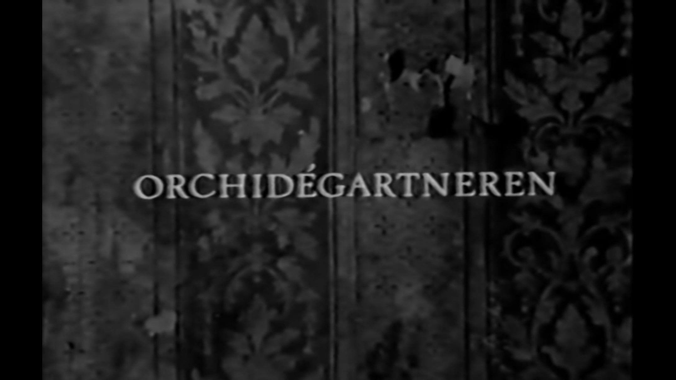 Backdrop for The Orchid Gardener