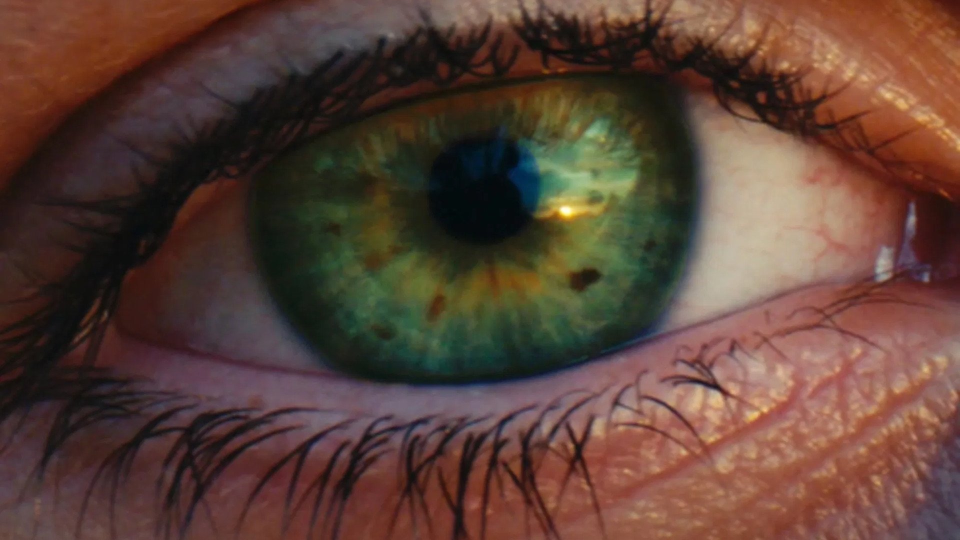 Backdrop for Chasing Light