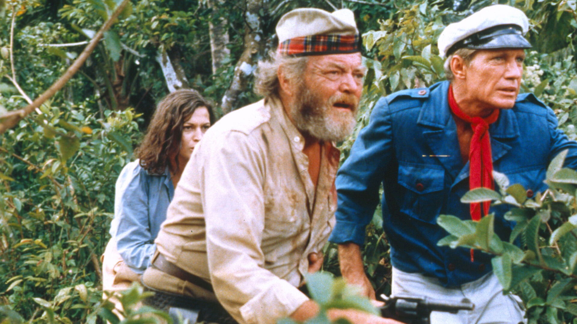 Backdrop for Jungle Raiders