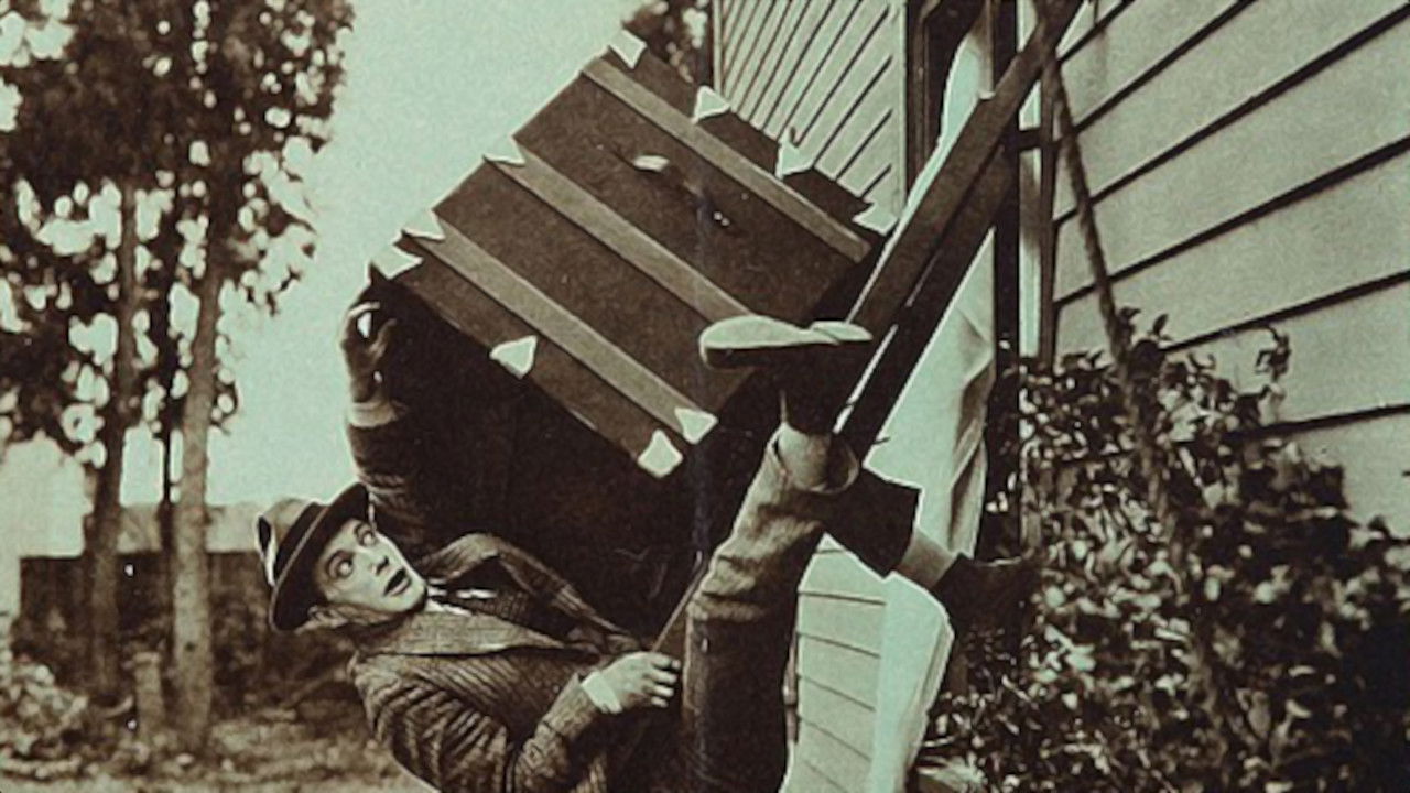 Backdrop for Dynamite Doggie