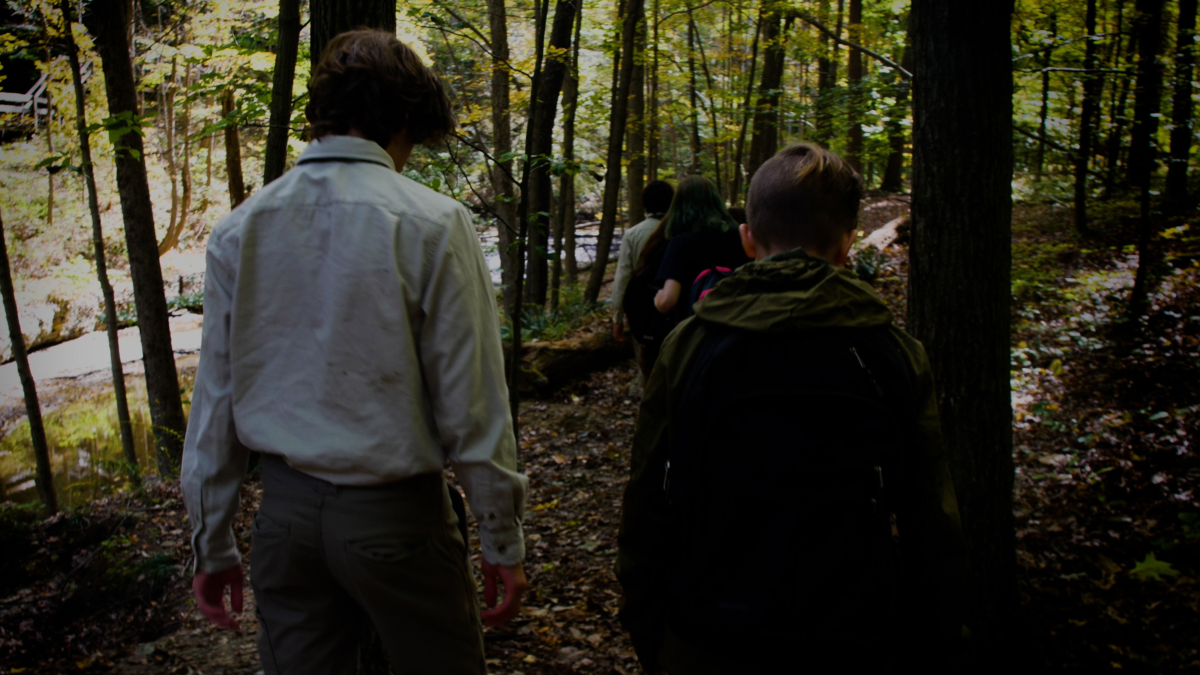 Backdrop for Hungarian Scouts