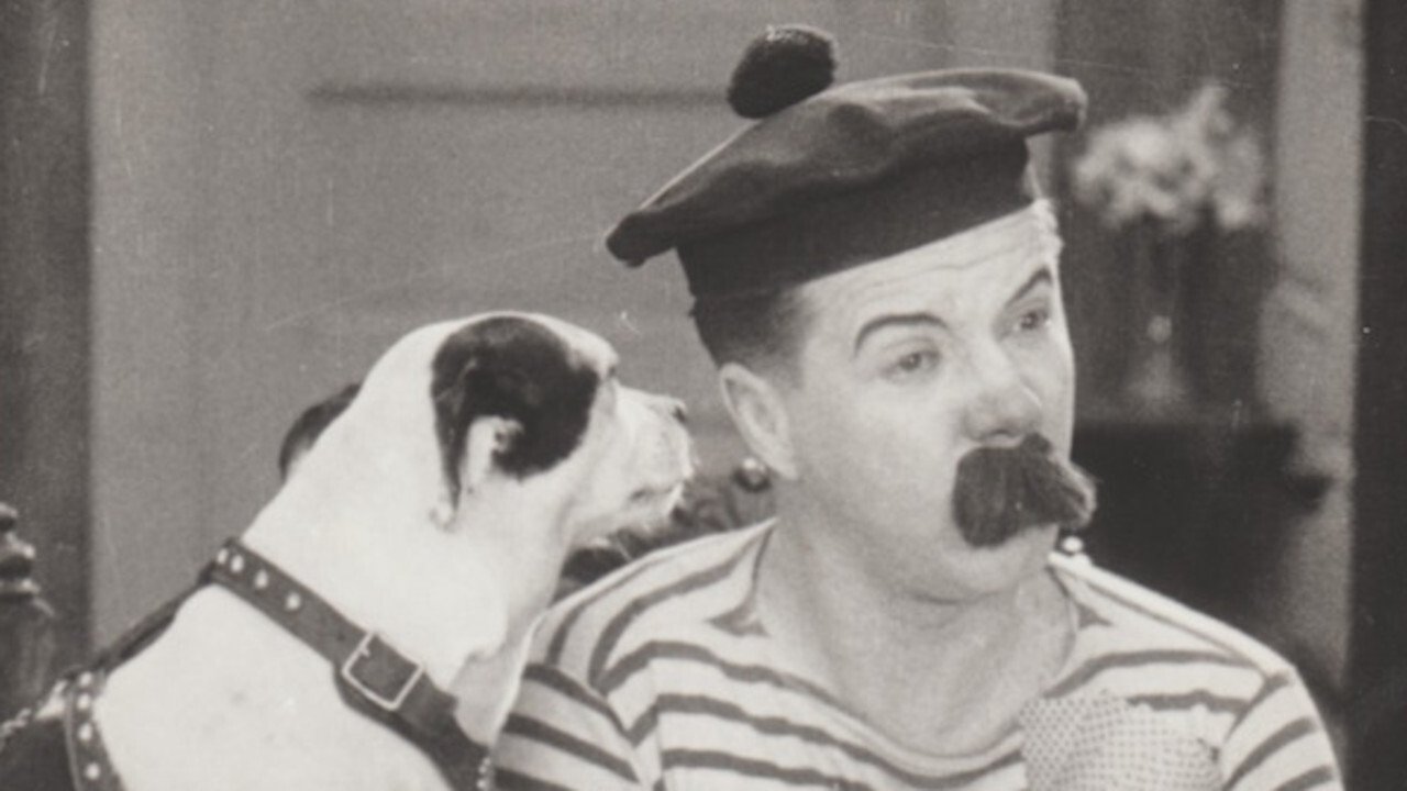 Backdrop for Nip and Tuck