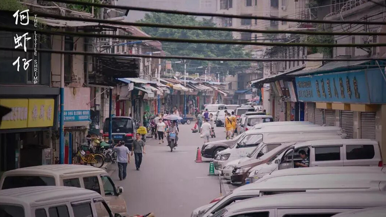 Backdrop for The Little Shrimp