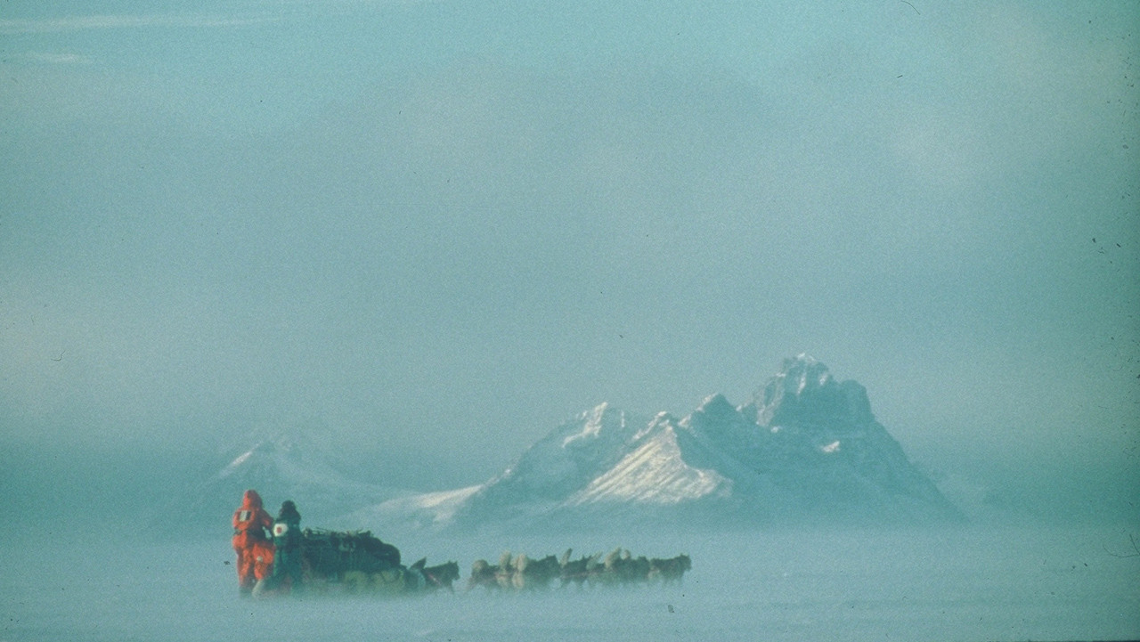 Backdrop for Au Sud du Sud