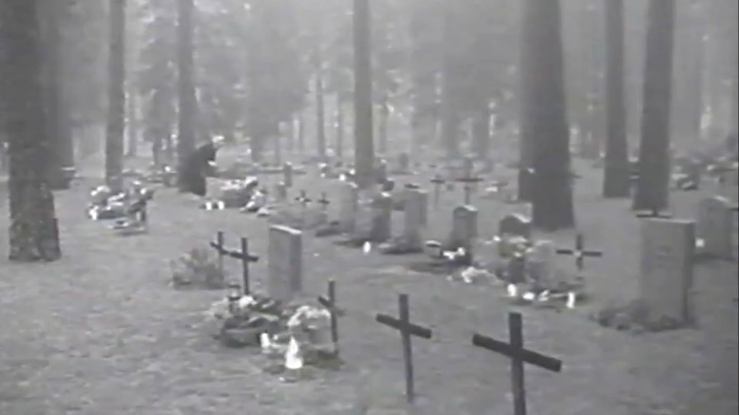 Backdrop for Why Must We Die?