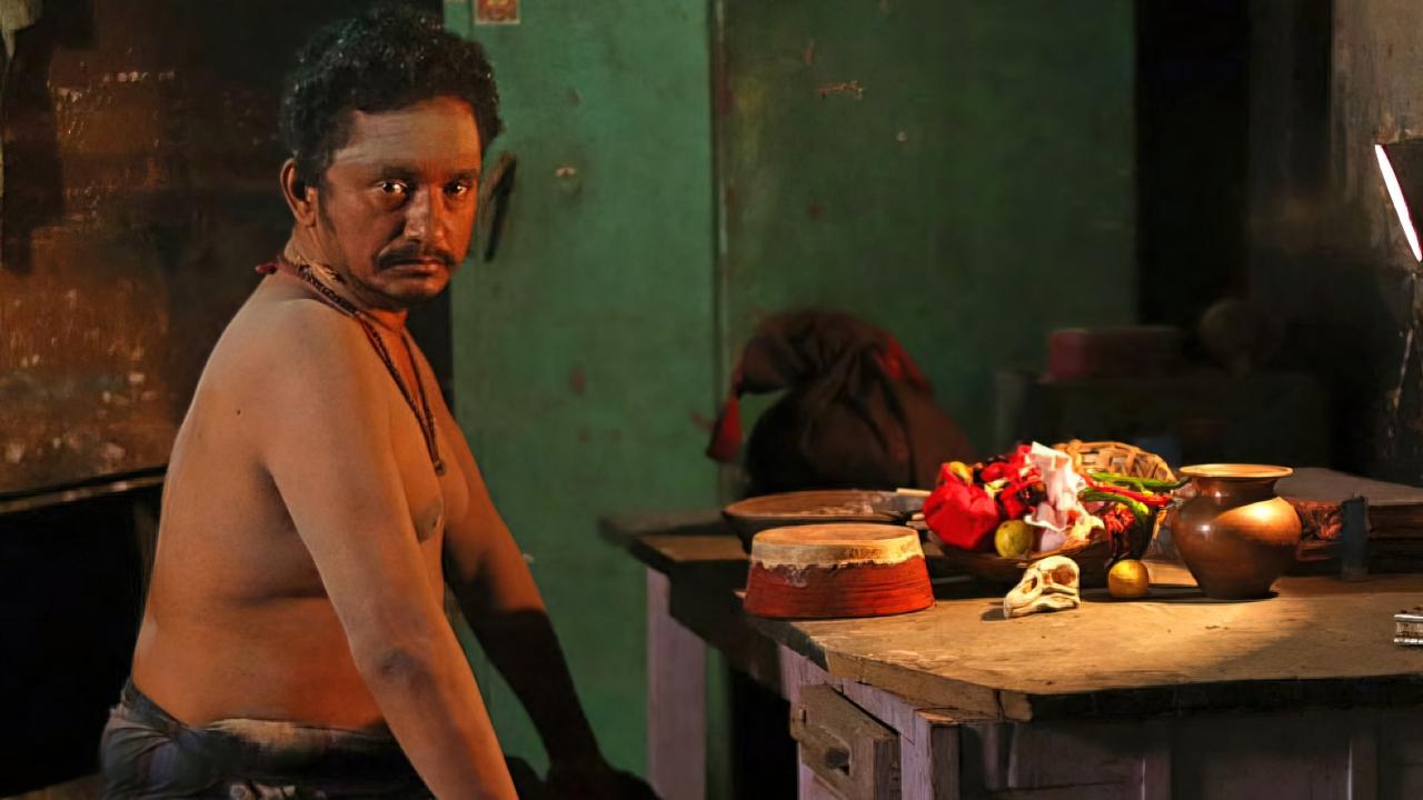 Backdrop for Bardovi