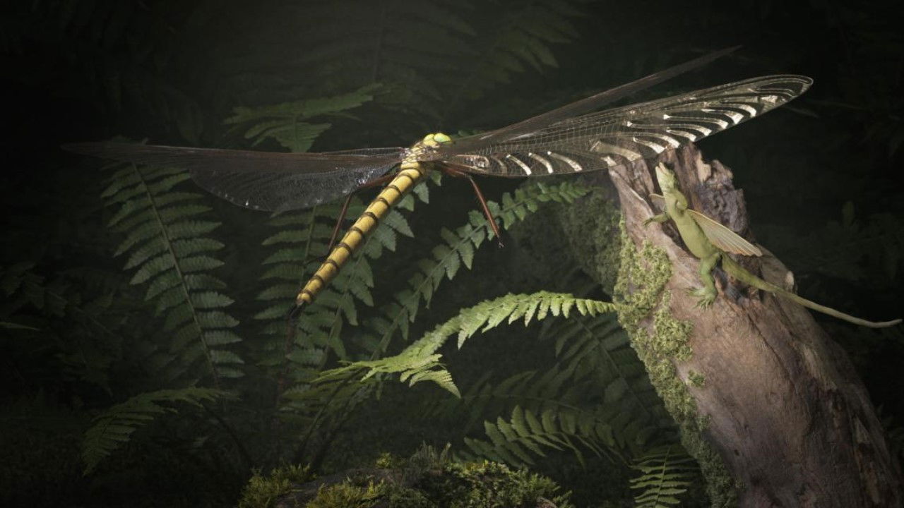 Backdrop for Mysterious Origins of Insects