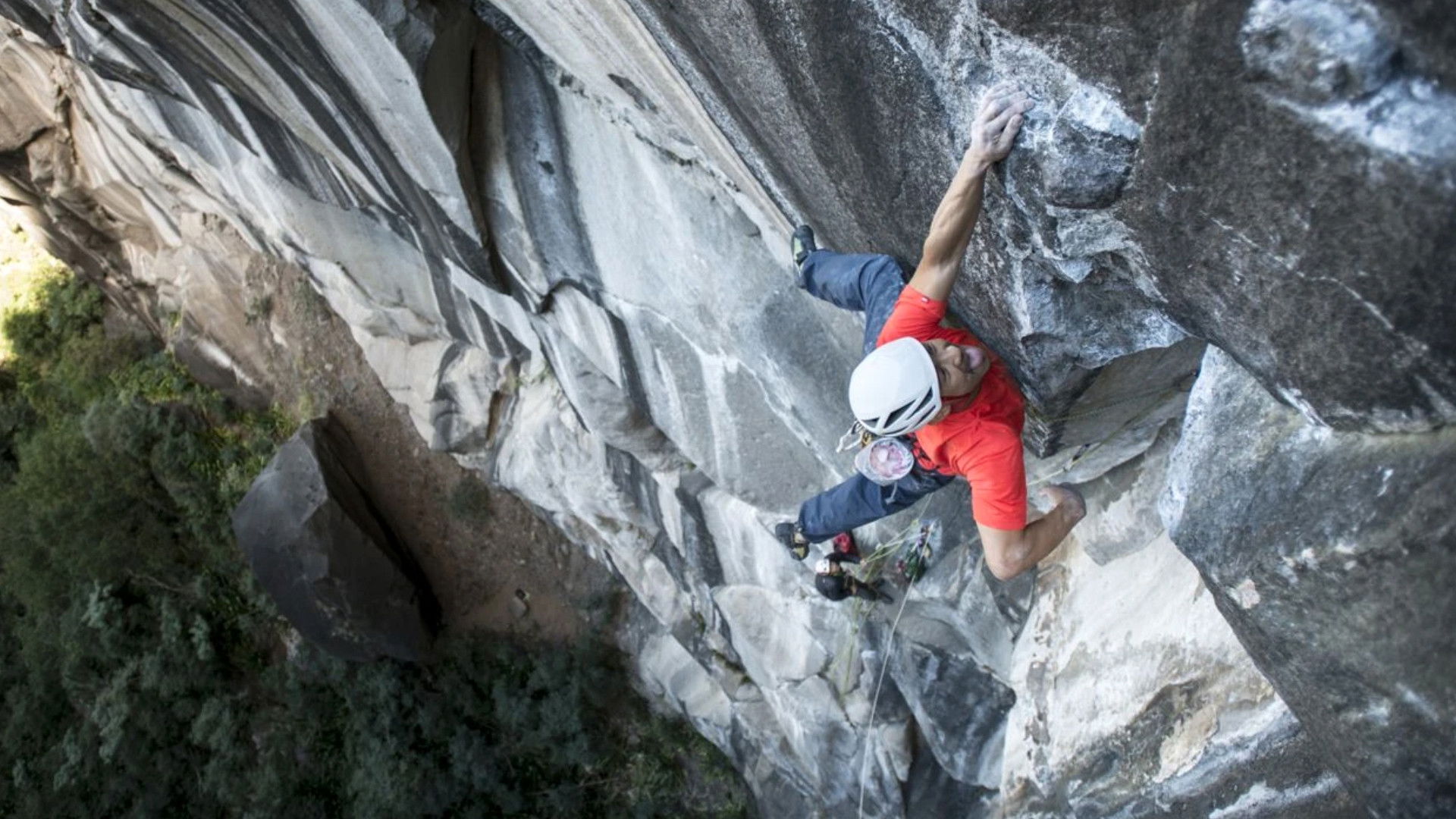 Backdrop for Zembrocal