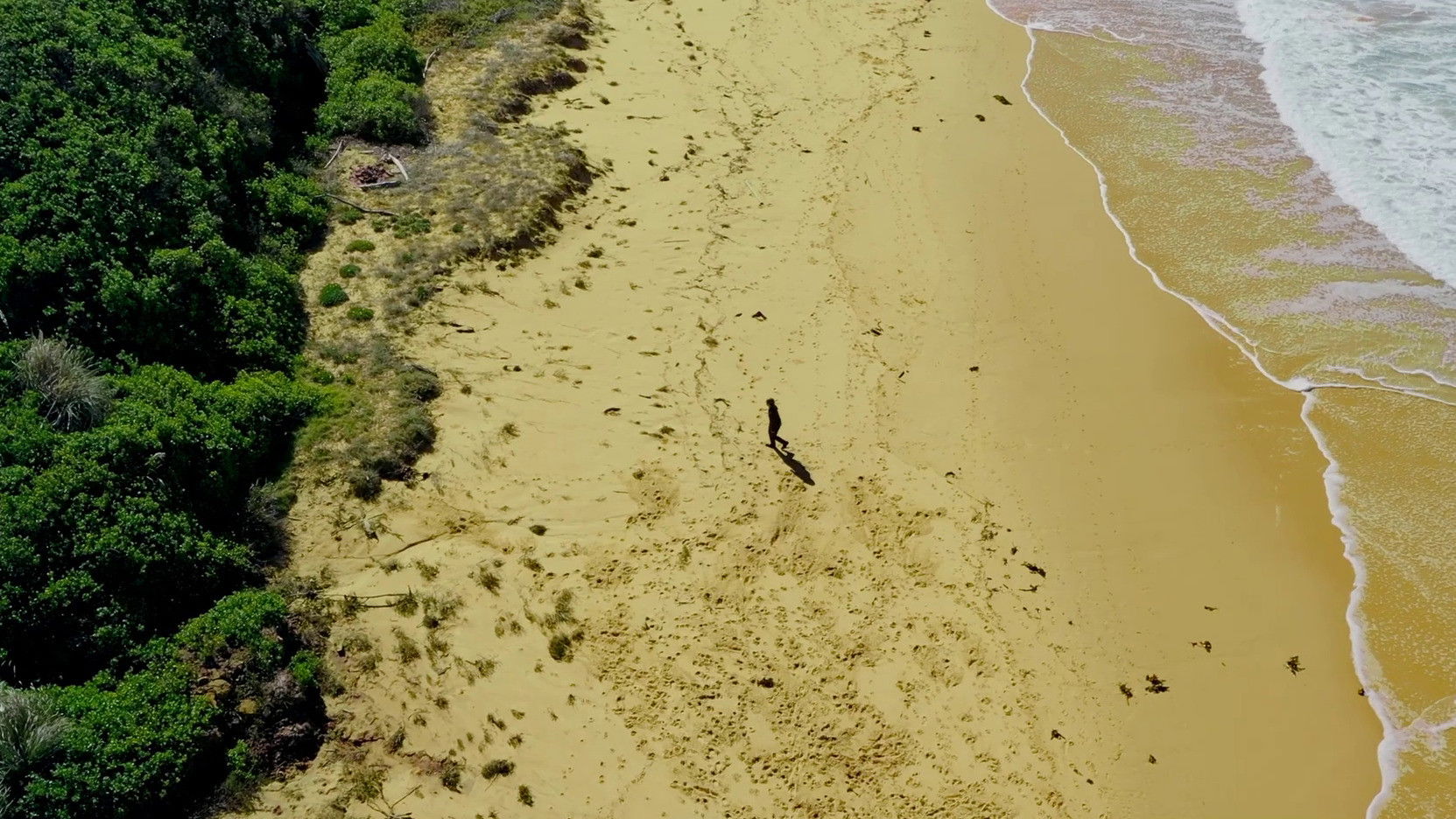 Backdrop for Comrade